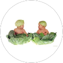 Γιώργος Στεφάνου profile picture